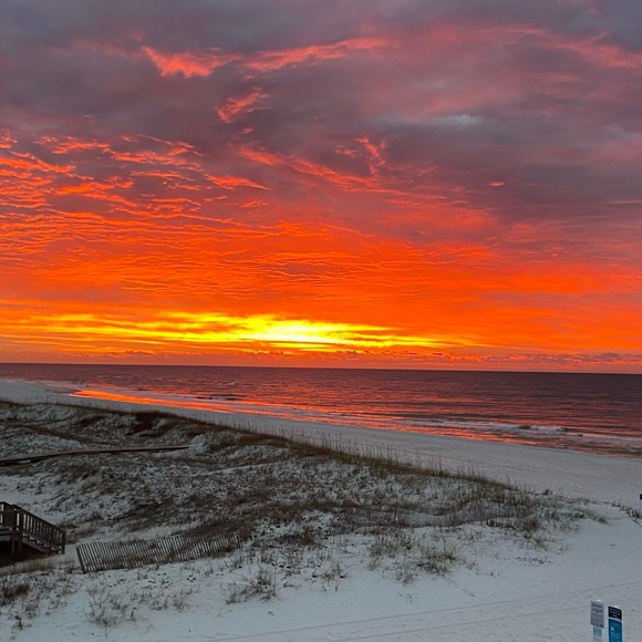 Meet your Posher, Karen - Picture 1 of 1